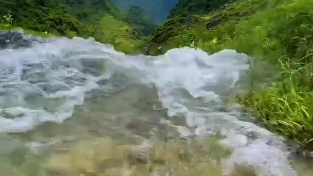 Wait for it🤩