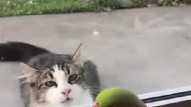 When came to the zoo 😛🦁