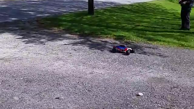 Pit bull chases RC car