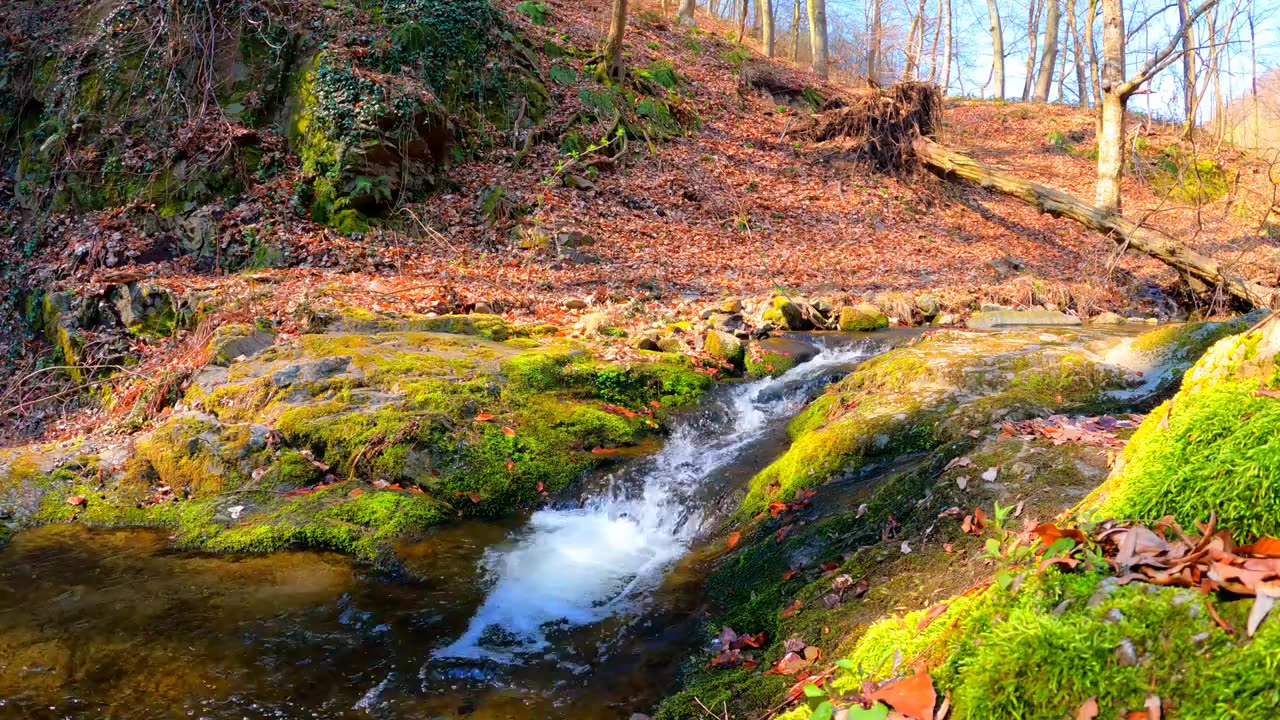 Beautiful Waterfall Nature Videos Natural Waterfall