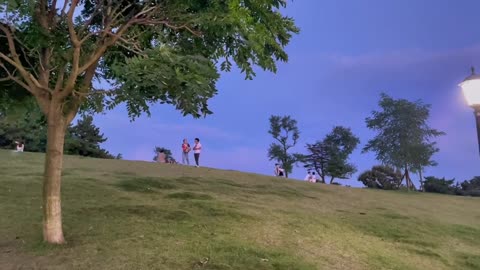二十岁之前我从未见过大海