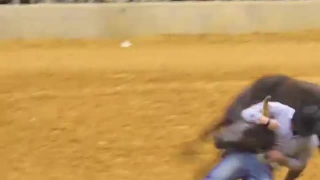 PRO RODEO