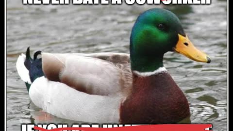 Random Memes 605