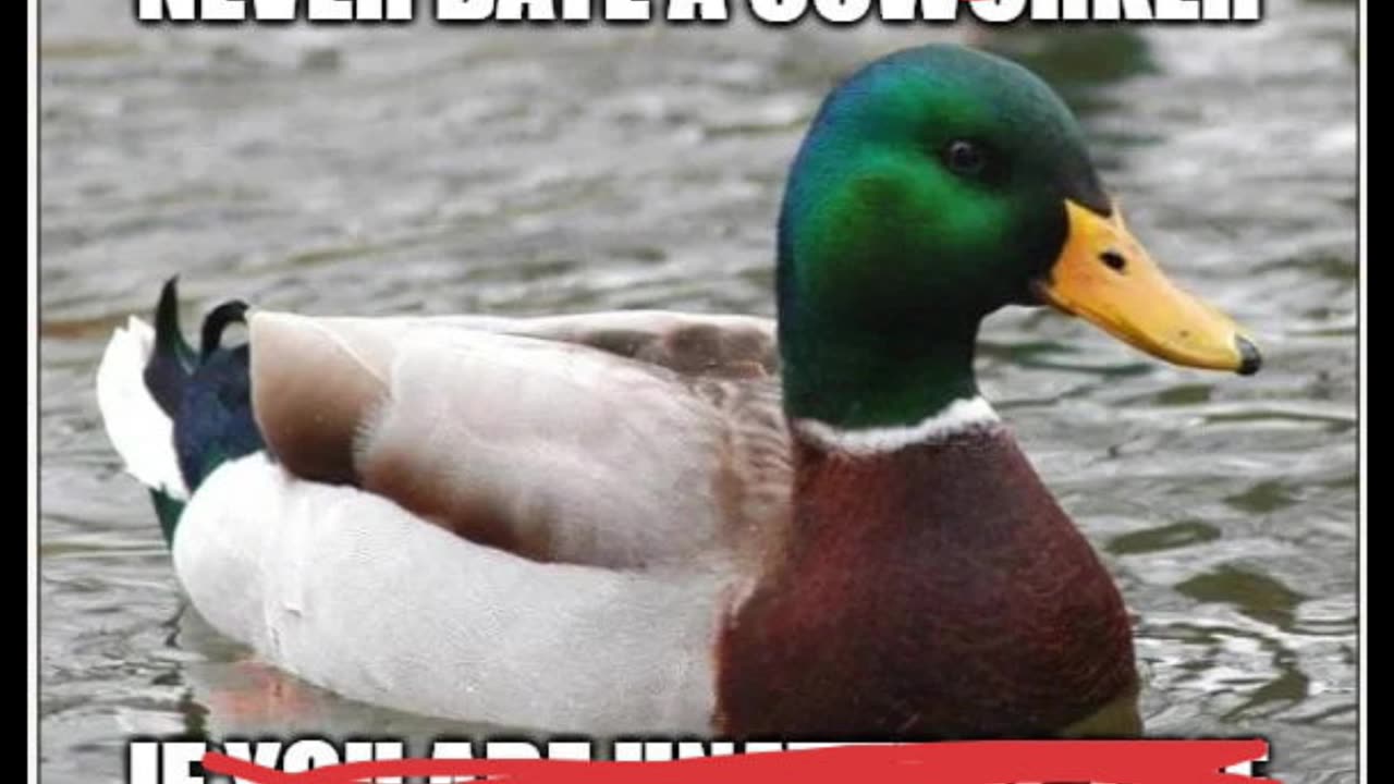 Random Memes 605