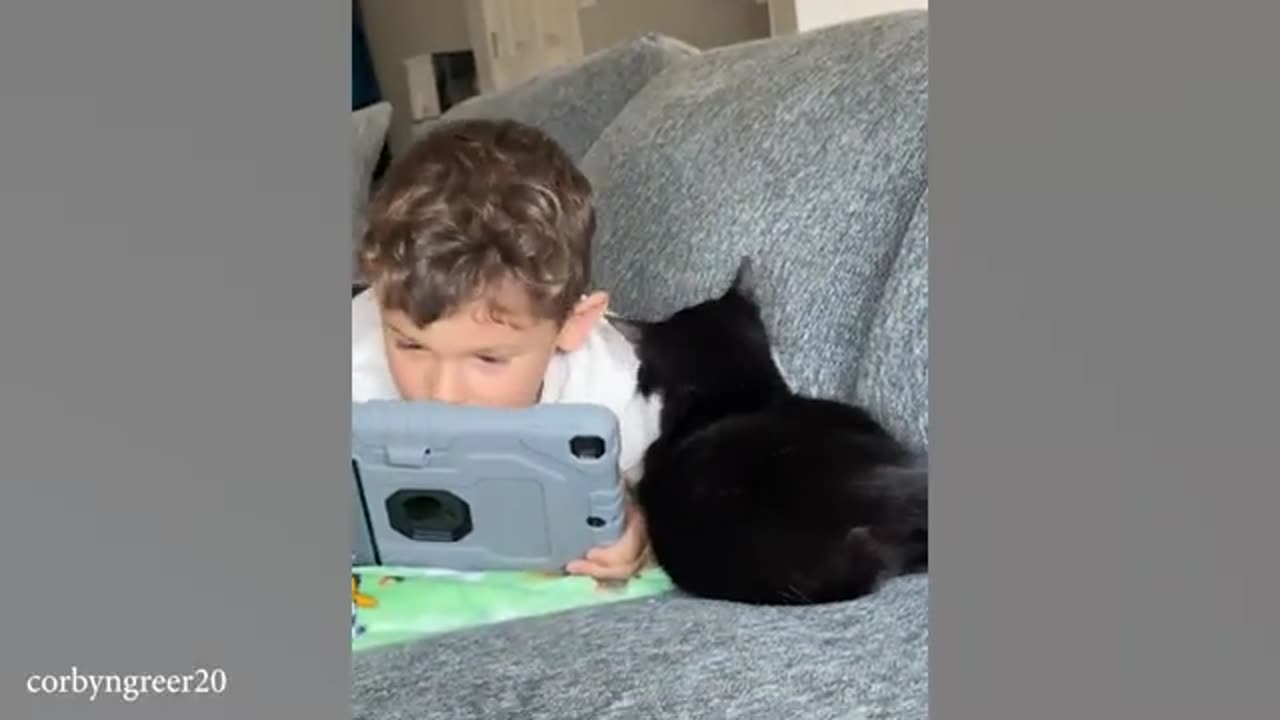 CATS and BABIES Awesome Friendship!