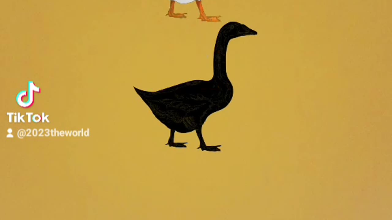 Love PisE And Full Happy All Life Yes OR No