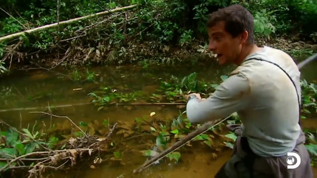 Bear Grylls Eats the Biggest Grubs He's Ever Seen | Man vs. Wild