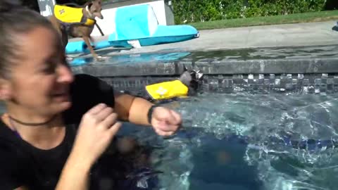 Teaching my dog how to swim