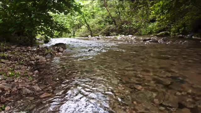 Relaxing Nature Sounds - Short Video Clips of Nature
