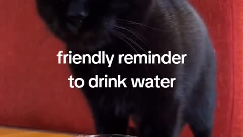Friendly reminder to drink water