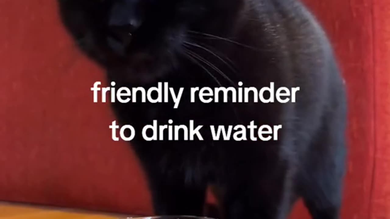 Friendly reminder to drink water