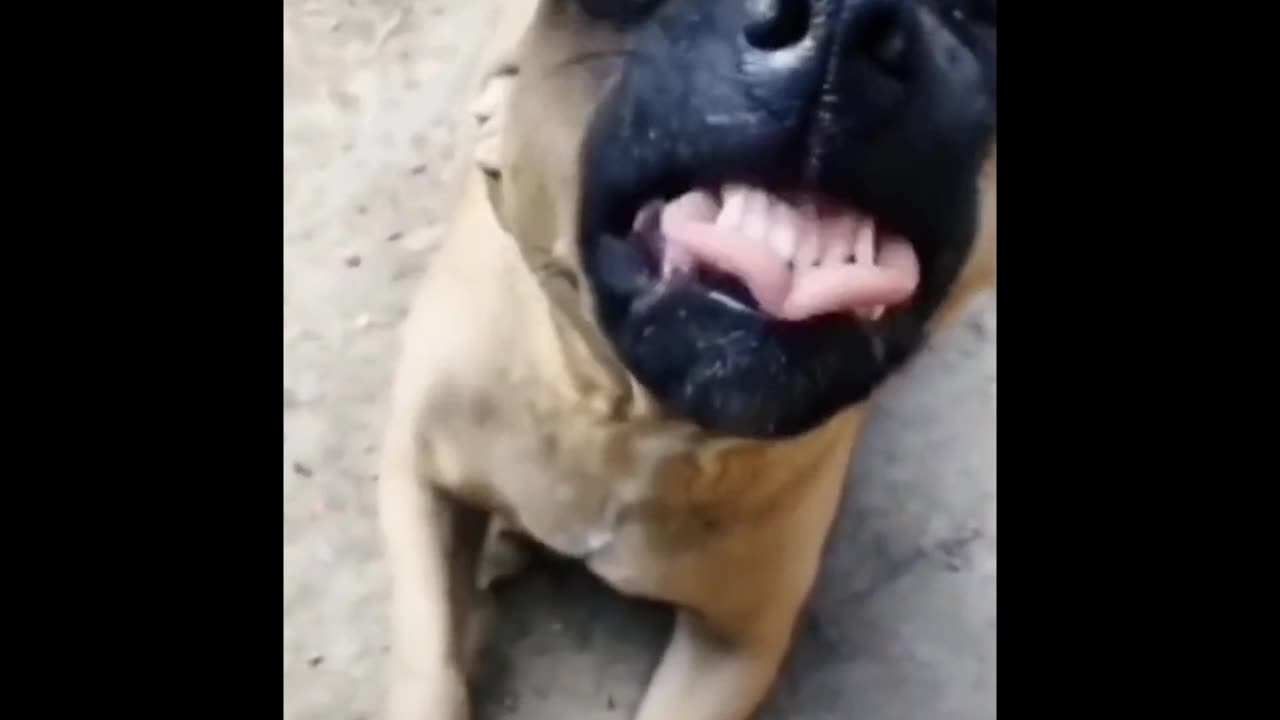 Come on, smile