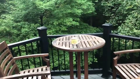 September 6, 2020 - Sunday Morning on the Deck