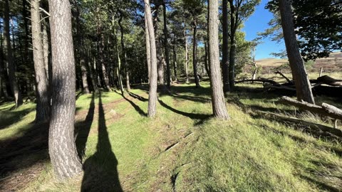 North Eastern end of the Pentlands