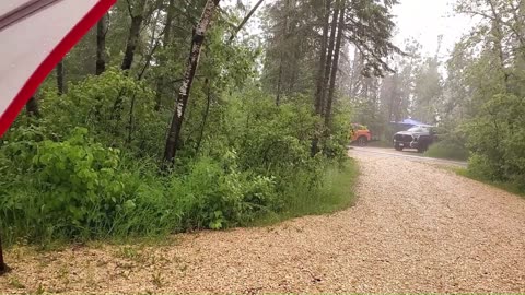 Camping with Kitties - Hecla Island