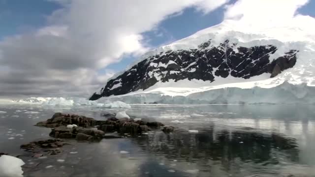 How krill fishery threatens Antarctic wildlife