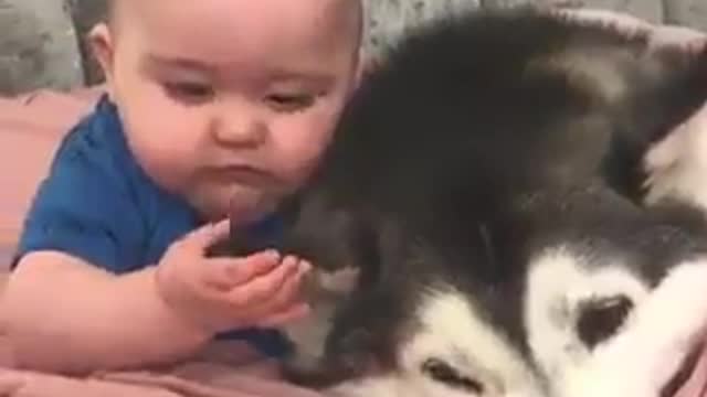 baby and dog are joking