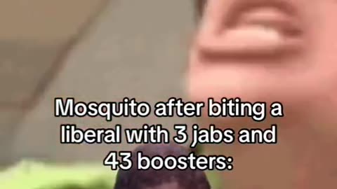 Mosquitoes in Cities Be Like