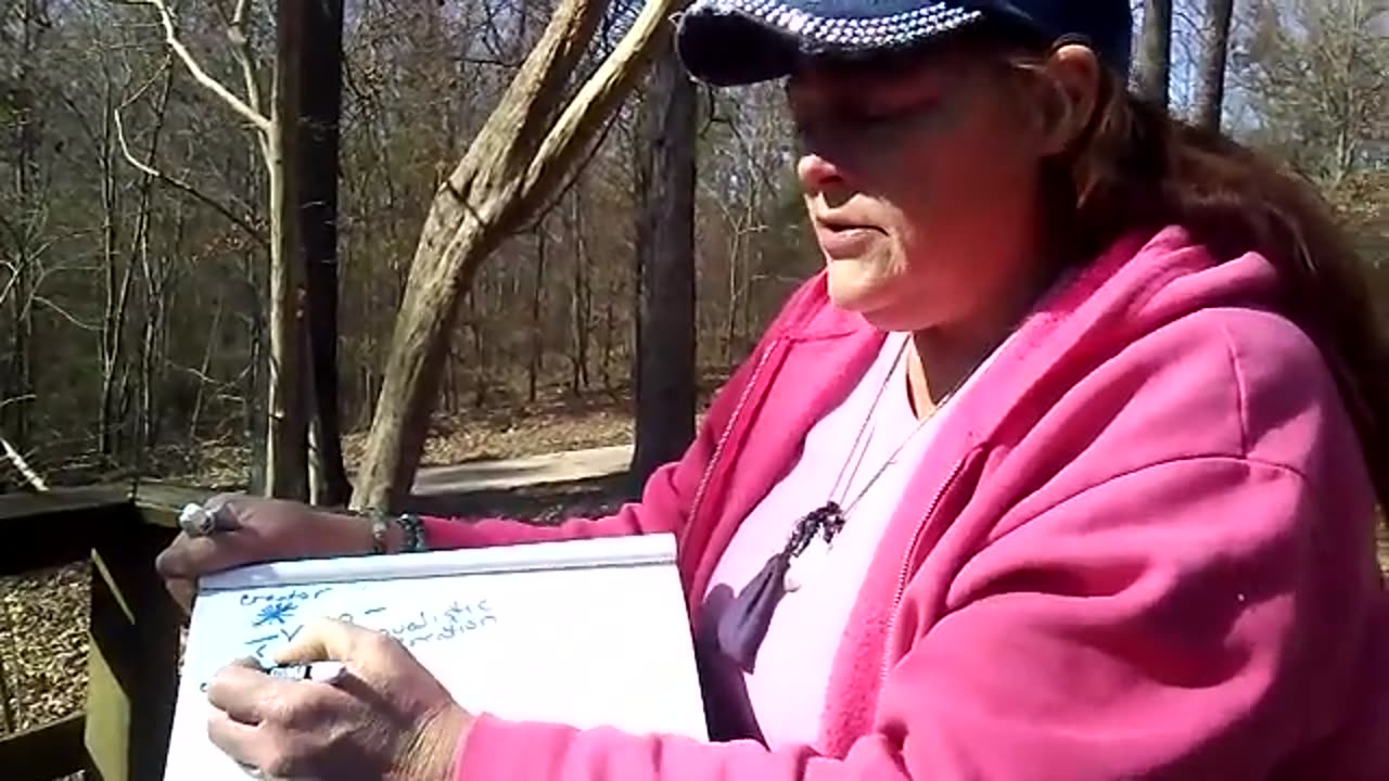 In Depth Description Of Dimension And Creations, Part 1, NDE