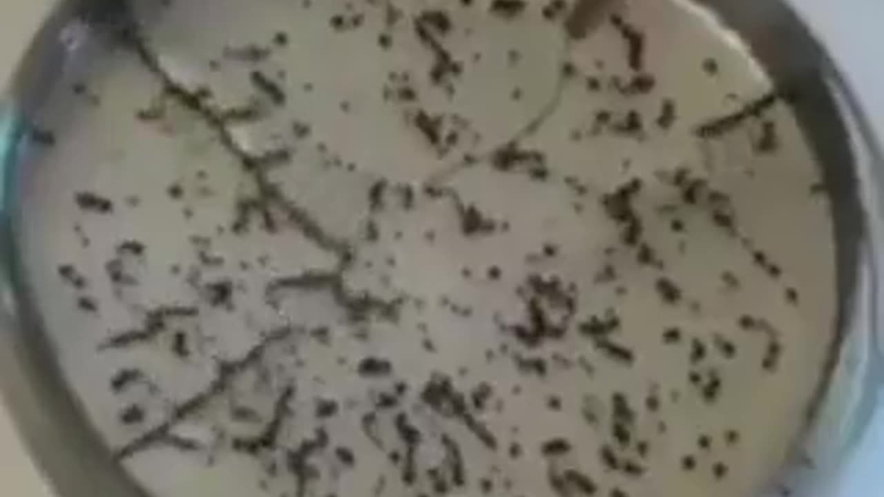 FDA confirms Graphene Oxide is in the mRNA "COVID-19" Vaccines