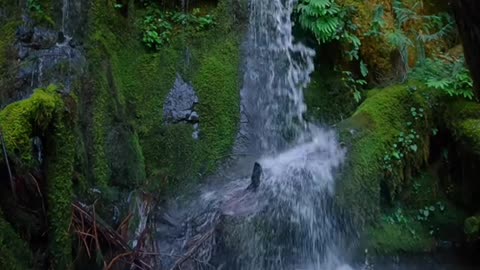 Beautiful scenery