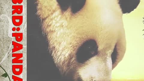 5 Cute Animals That Can Kill You [5 Dangerous cute animals]