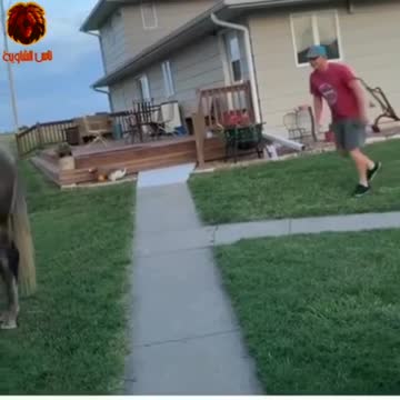 You will not be able to stop laughing