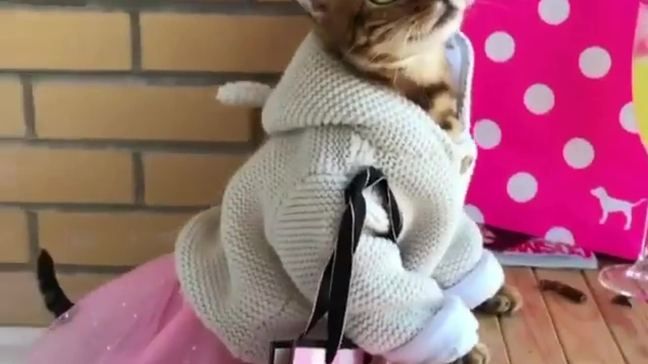 Let's go for shopping