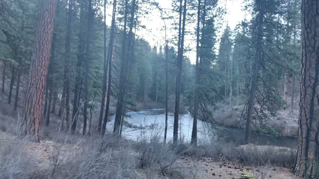 Arriving at the Trailhead – Metolius River – Central Oregon – 4K