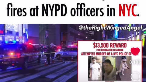 If illegals are shooting maybe you should have a gun just in case