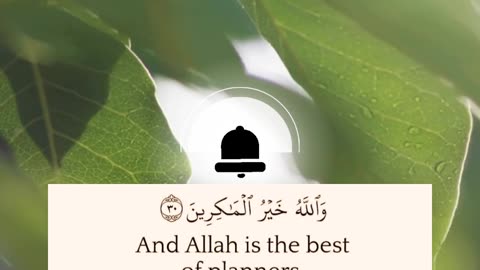 Islamic video