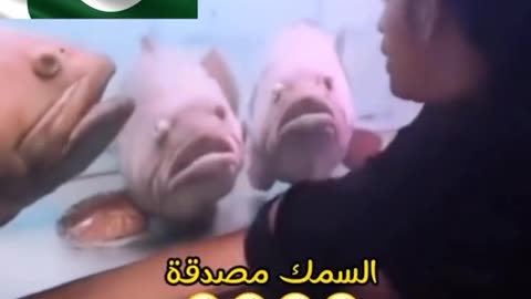 Funny vedio