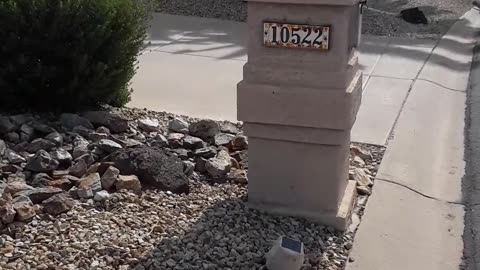 "April Fool's Day" and man do we need help from God. 4/1/23 Sun Lakes,AZ
