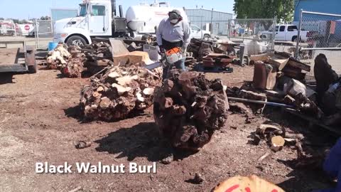 Carving a Rhino From Epoxy Resin & Walnut Burl10