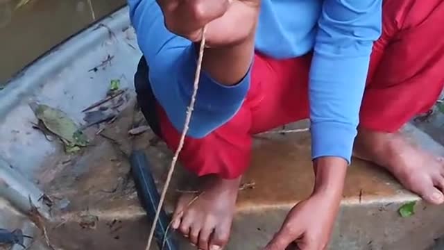 OMG... BIG FISH TRAPPED IN FISHERMAN'S TRAP