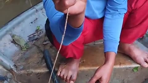 OMG... BIG FISH TRAPPED IN FISHERMAN'S TRAP