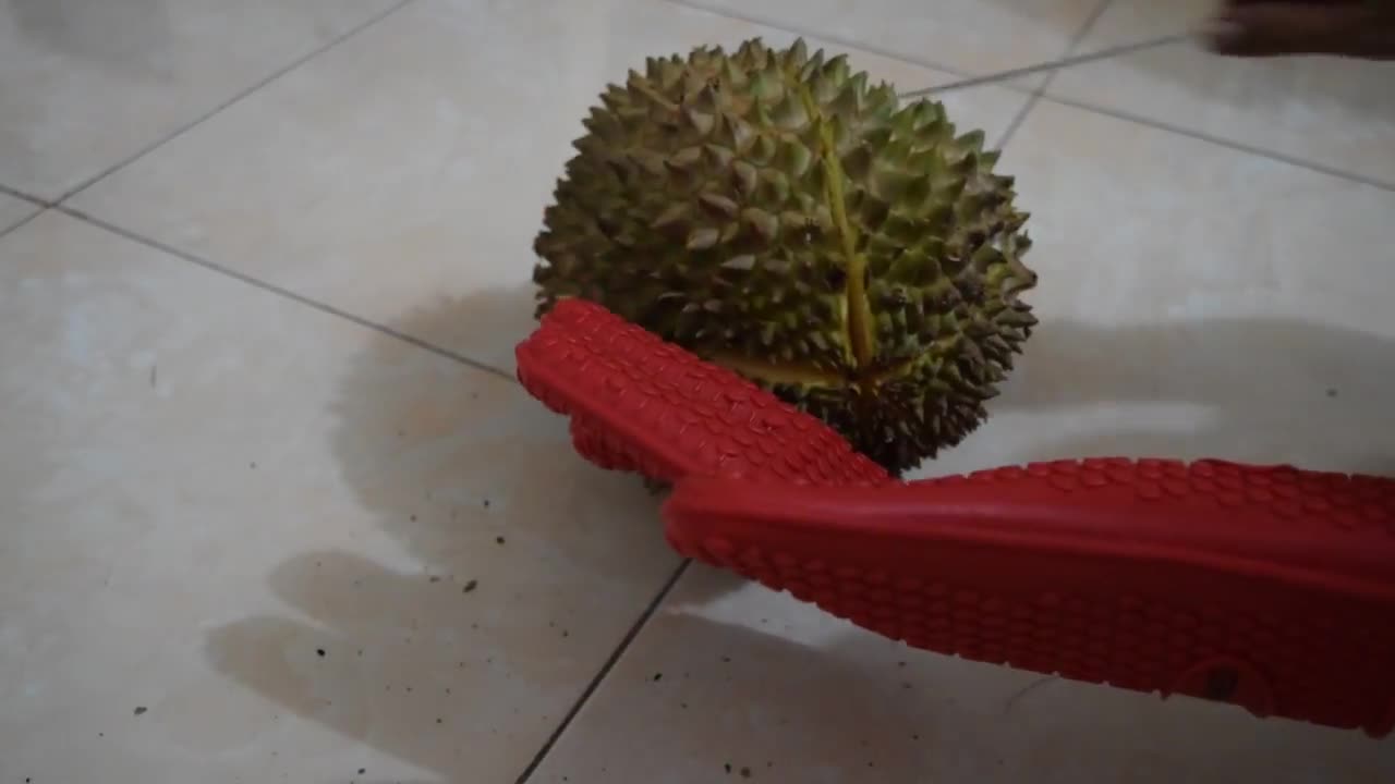 HOW TO SAFELY and QUICKLY OPEN DURIAN USING KITCHEN KNIFE