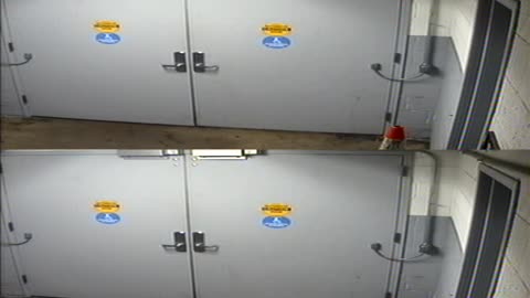 4111WHUGGALoadingDock_2021-01-05_05h20min01s210ms.mp4