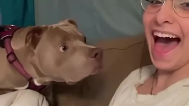 Why did you break the dog 🐕