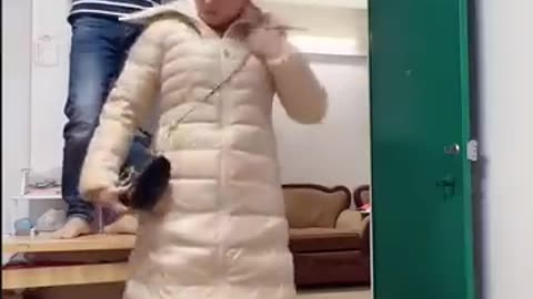 Funny videos