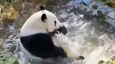 Nature is amazing