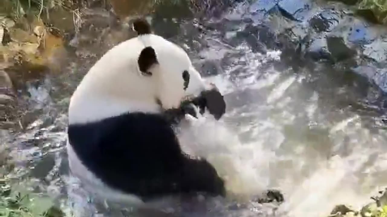 Nature is amazing