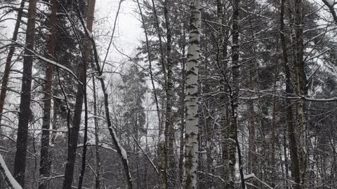 Winter it is a beautiful