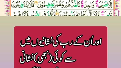 Surah yaseen tarjuma 23 para Quran