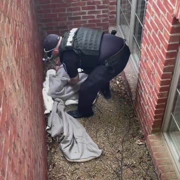 Police rescue an adorable baby fawn