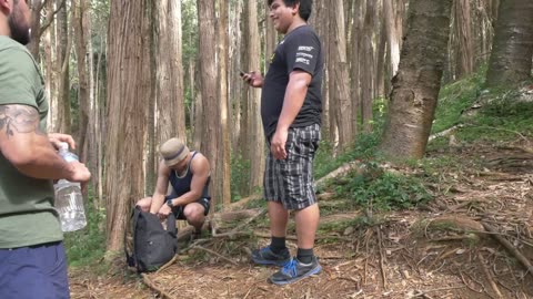 Hiking in Honolulu