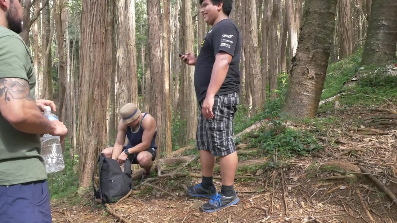 Hiking in Honolulu