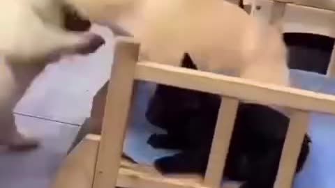 Funny
