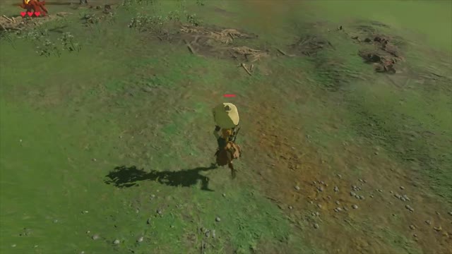 THE LEGEND OF ZELDA BREATH OF THE WILD FUNNY MOMENT