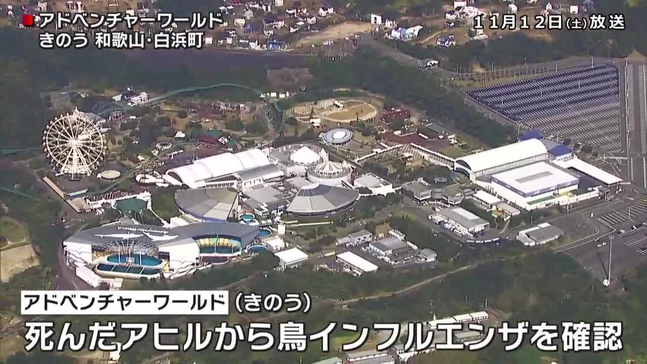 アドベンチャーワールド 鳥インフルエンザの発生をうけ 安全を確認するため13日以降も当面休園_1